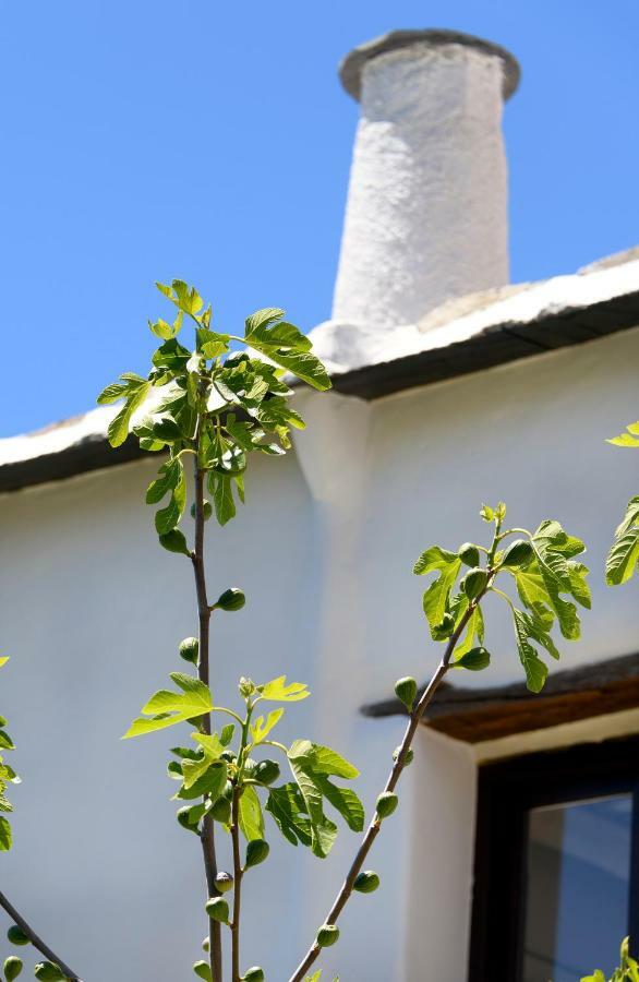 דירות בוביון Casa Cecilia מראה חיצוני תמונה